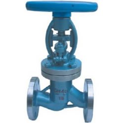 國标波紋管截止閥