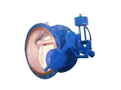 蝶式緩沖止回閥